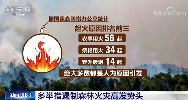 保護(hù)森林，還地球家園一點綠，高登一直在行動