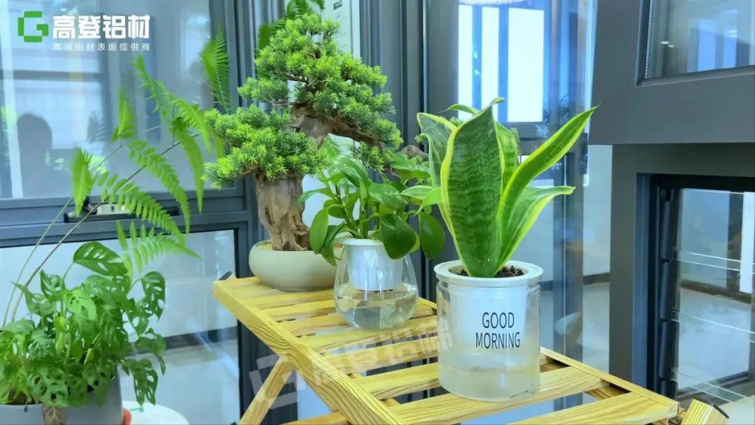 一個(gè)簡單的花架，卻美了整個(gè)生活~