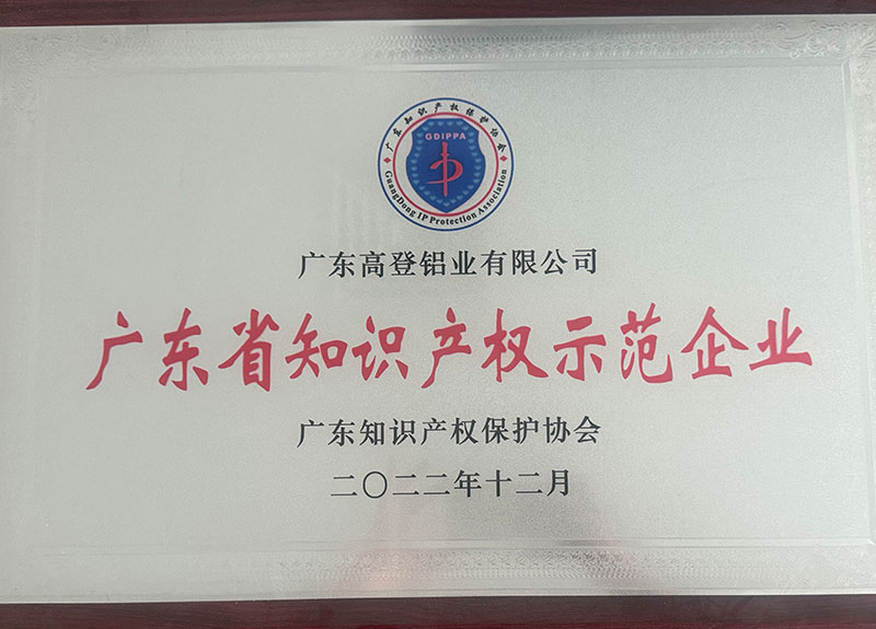 廣東省知識產(chǎn)權(quán)示范企業(yè)