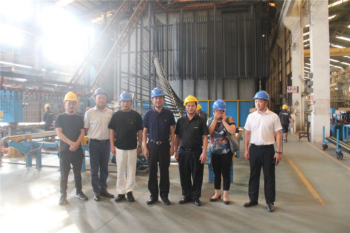 2019淮北市委書(shū)記蒞臨高登參觀